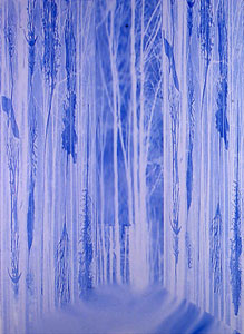 Title Dog Forest Digital image on rag paper Size H120cm/ W180cm1997