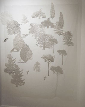 Title: ‘Pine’ Medium: Relief prints on tulle Size: H100cm /W90cm 2005