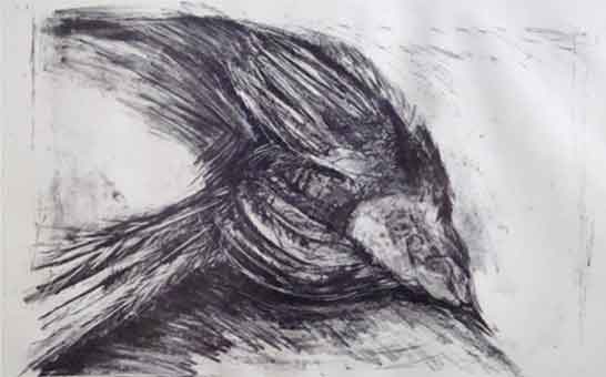 Title: ‘Bird’ Medium Lithography on rag paper. H22cm/w30cm 1991