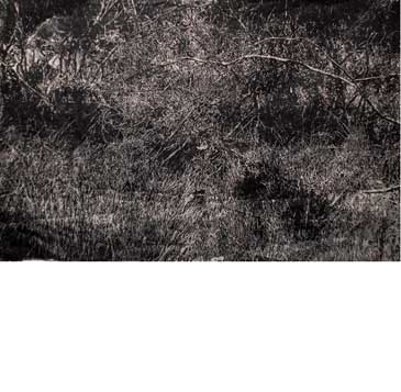 Title :Untitled Medium linocut on rice paper  Size h80cm /1w100cm 2005